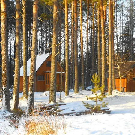 Elulong Laagriplats Lohusuu