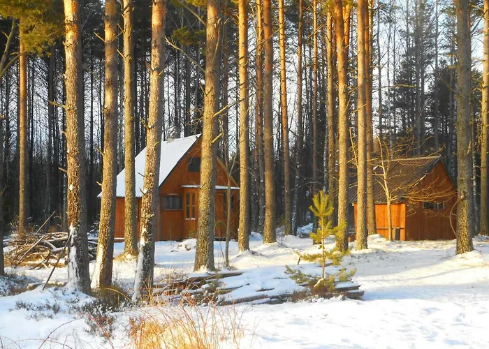 Elulong Kamp alanı Lohusuu