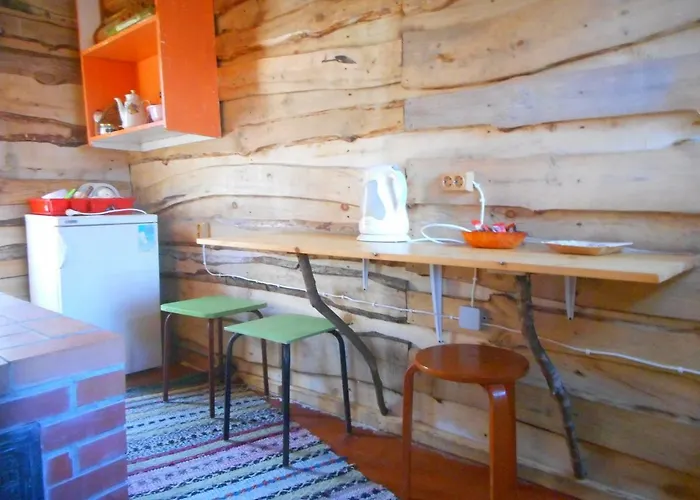 Elulong Kamp alanı Lohusuu